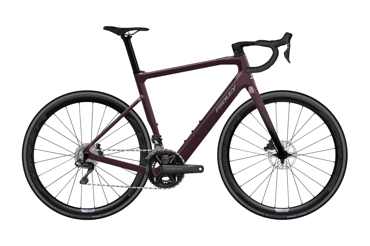 RIDLEY E-GRIFN Apex AXS Dark Plum Metallic/Autumn Grey Metallic