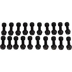 RACE FACE spare part PEDAL PIN KIT, CHESTER, PIN/NUT, 20 SETS