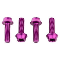 WOLF TOOTH Water bottle cage bolts purple