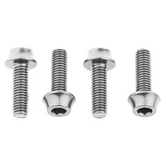 WOLF TOOTH Water bottle cage bolts silver