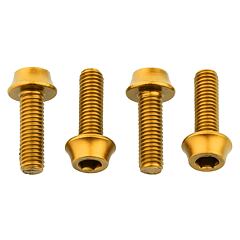 WOLF TOOTH Water bottle cage bolts gold