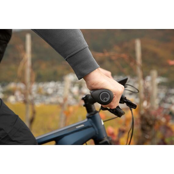 ERGON grip GT1 -L