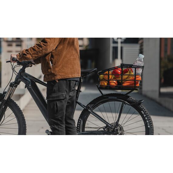 TOPEAK TETRARACK M2 HD