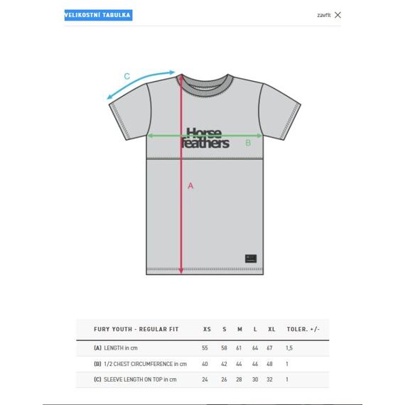 HORSEFEATHERS YOUTH tee SS FURY digital/flame