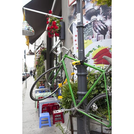 KRYPTONITE lock New York Standard + FlexFrame