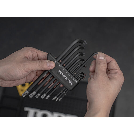 TOPEAK TORX WRENCH SET DX