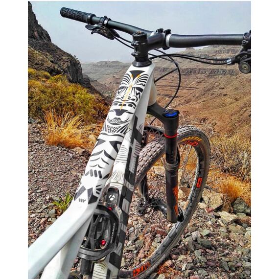 AMS Protective Stickers - EXTRA - Clear/Maori