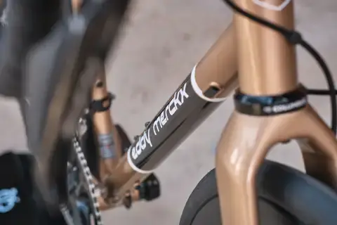 EDDY MERCKX wheel PEVELE Corsa Rival AXS Clear Coat Glossy/Desert Dune Metallic