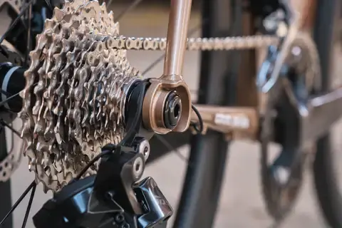 EDDY MERCKX wheel PEVELE Corsa Rival AXS Clear Coat Glossy/Desert Dune Metallic