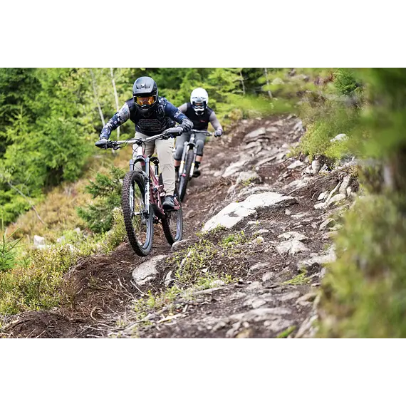 HORSEFEATHERS pants STOKER taupe