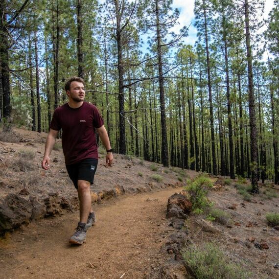 HORSEFEATHERS tee SS ROOTER burgundy