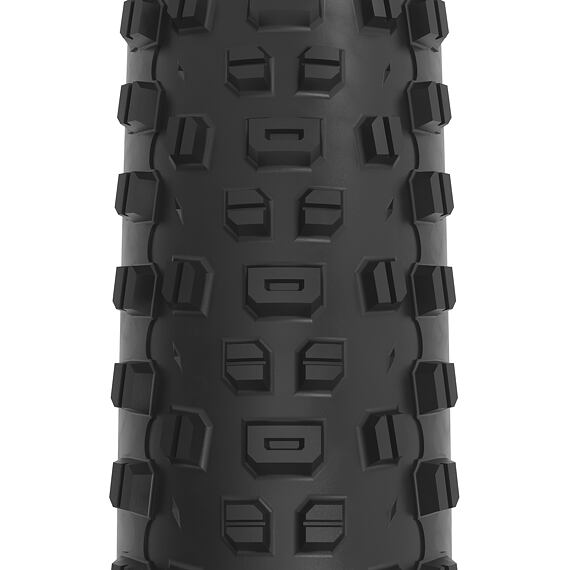 WTB tires RANGER 2.4 29'' TCS Light Fast Rolling SG2 black/brown