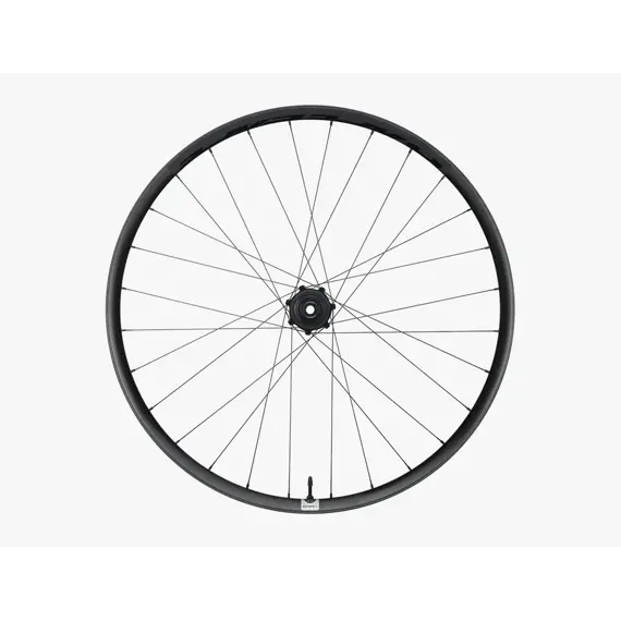 RACE FACE ERA SL 6B 29 front wheel 15x110