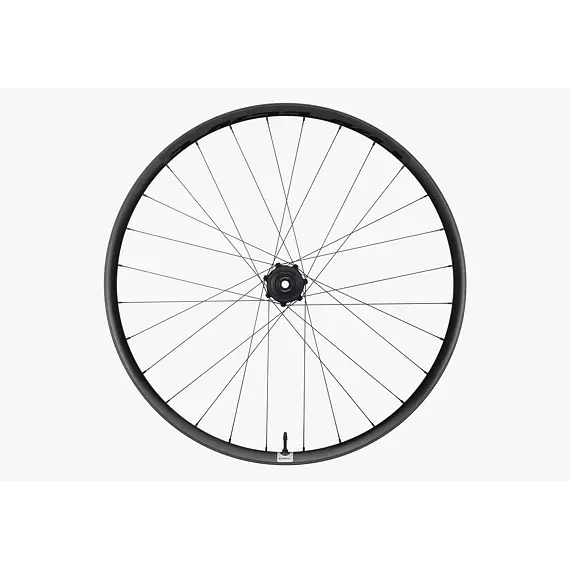 RACE FACE ERA SL 6B 29 rear wheel 12x148 MS
